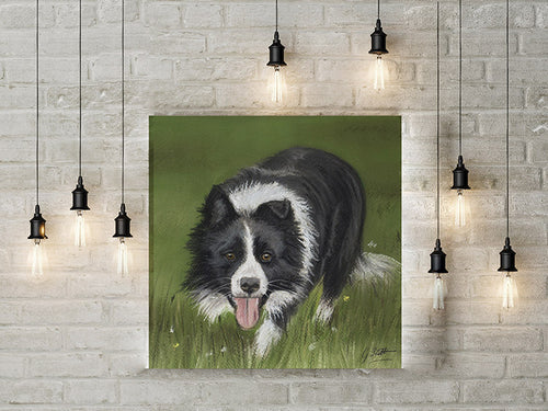 Working Collie Limited Edition Canvas Print