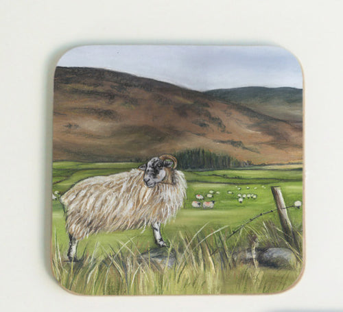 Sheep in Mountains Coaster