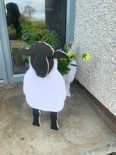 Sheep Planter