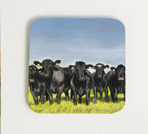 Angus Coaster