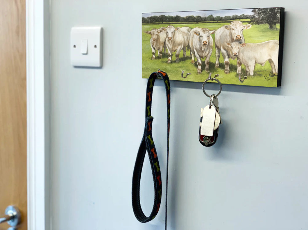 Charolais Cattle Key Holder