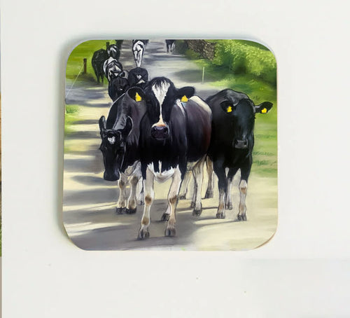 Friesian Cows In Lane Coaster