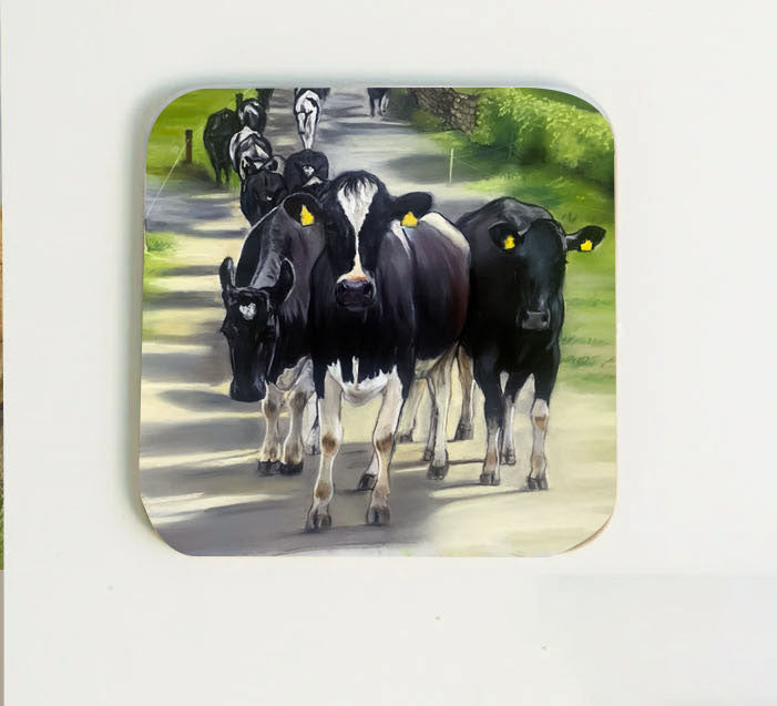 Friesian Cows In Lane Coaster