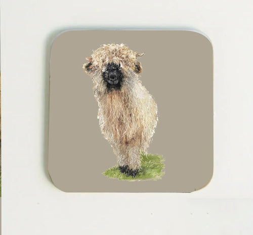 Valais Coaster