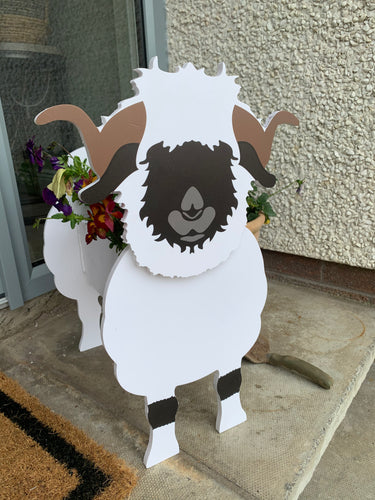 Valais Sheep Planter