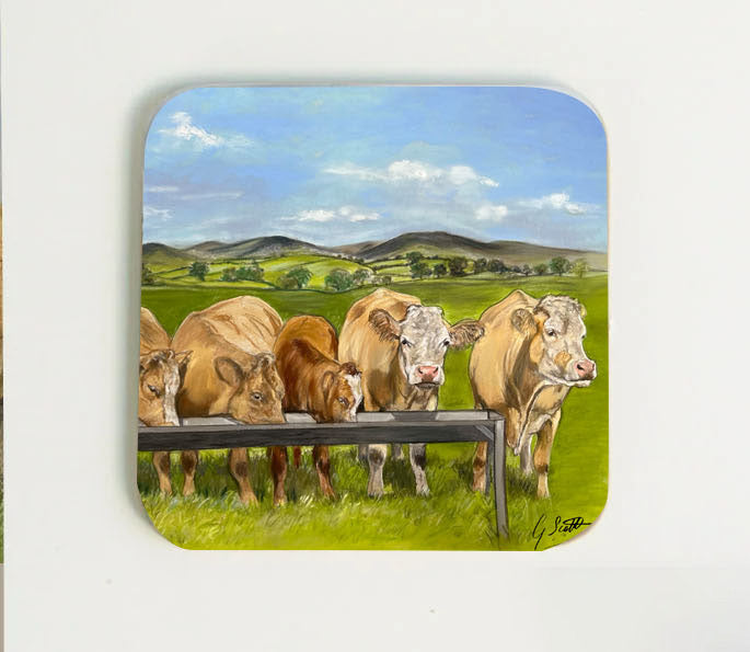 Herd Of Cattle Coaster