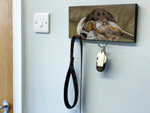 Spaniel With Pheasant Key Holder