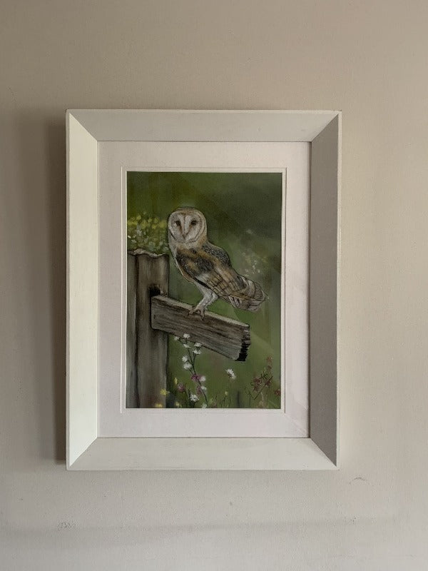 barn owl pastel painting by irish artist grace scott owl gifts