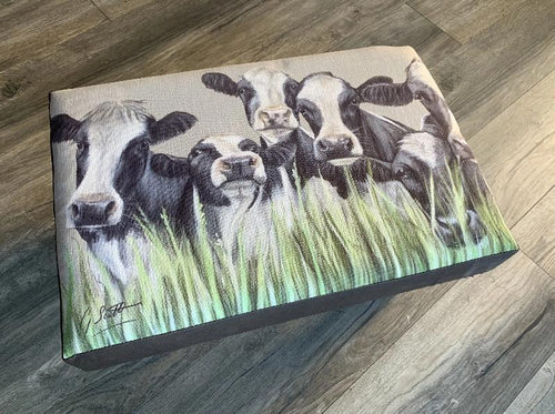 Friesian Cows Through Grass Footstool