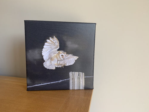 Owl In Flight Limited Editon Canvas Print