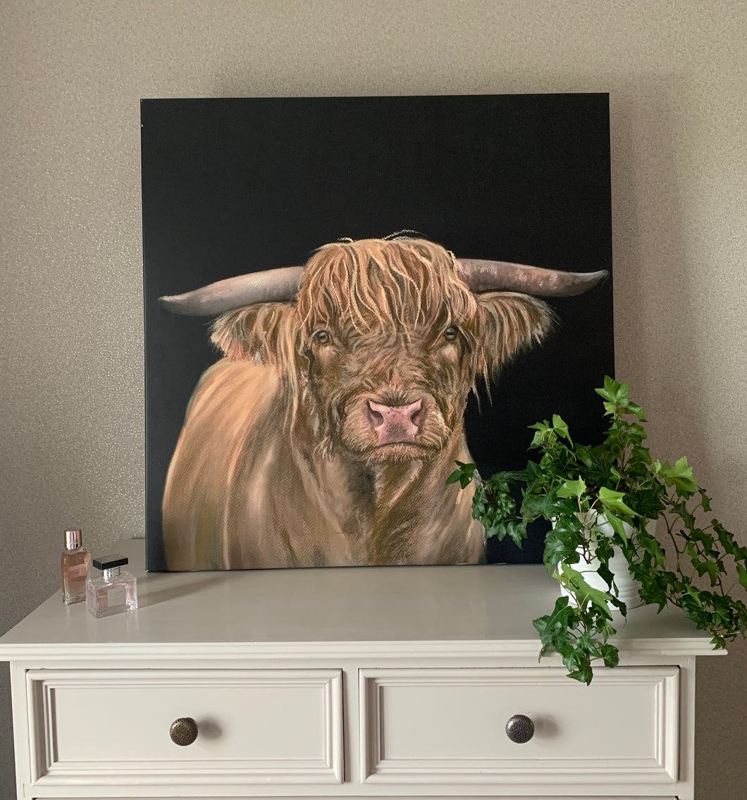 Highland Cow Black Background Limited Edition Canvas Print