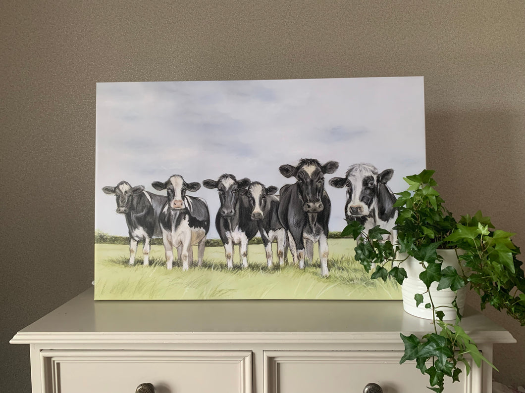 Friesian Cows Through Grass Canvas Print