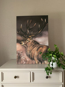 Stag Canvas Print