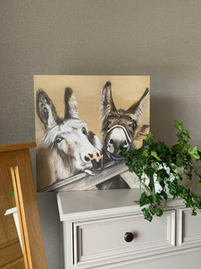 Donkeys Limited Edition Canvas Print