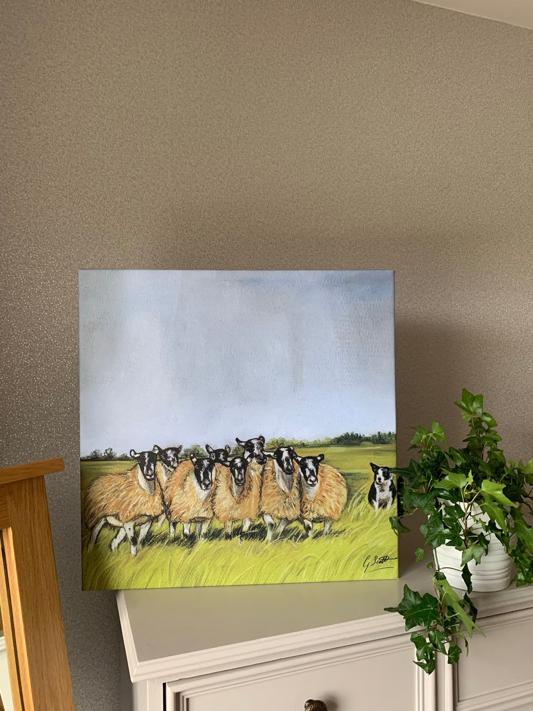 Sheep and Collie Limited Edition Canvas Print