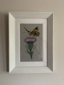 butterfly on scottish thistle original pastel painting by grace scott