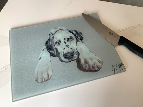Dalmatian Worktop Saver