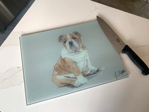 Bulldog Worktop Saver