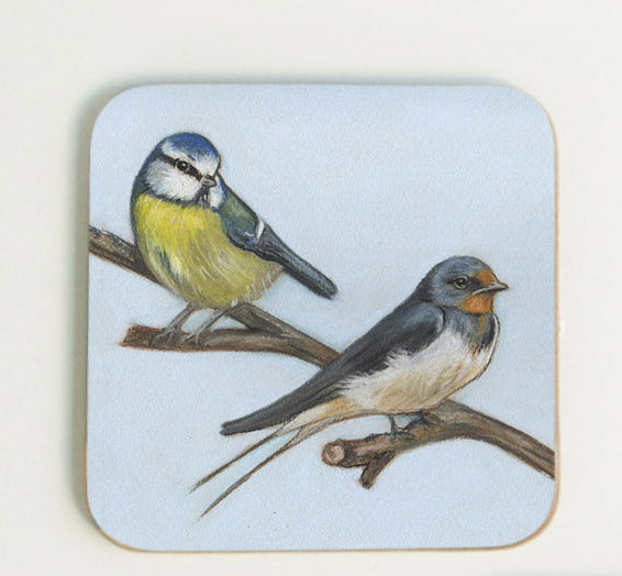 Bird Coaster