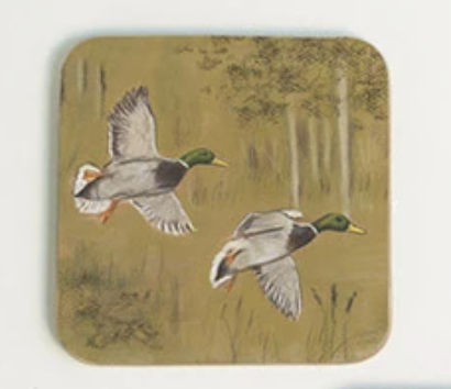 Mallard Ducks Coaster