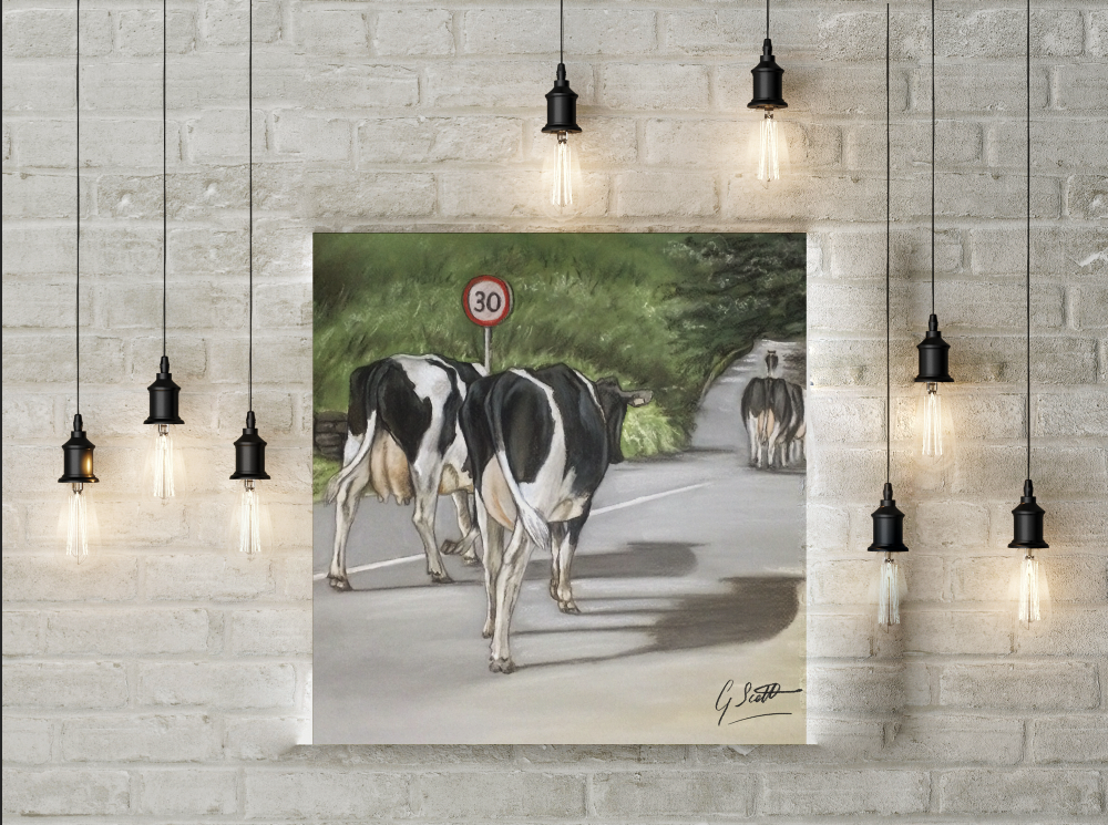 Cows Walking Road Limited Edition Canvas Print