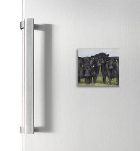 Aberdeen Angus Square Magnet