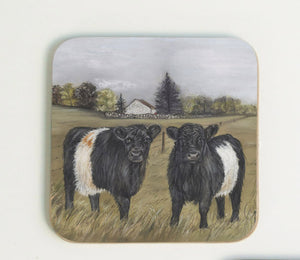 Belted Galloways Coaster