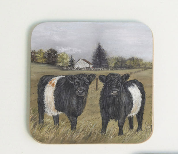 Belted Galloways Coaster