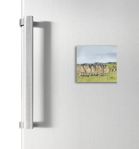 Sheep And Collie Square Magnet