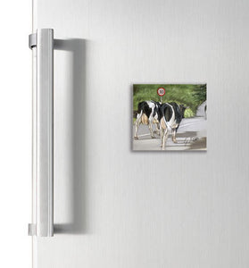 Copy of Stag With Dark Background Square Magnet