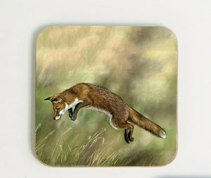 Leaping Fox Coaster