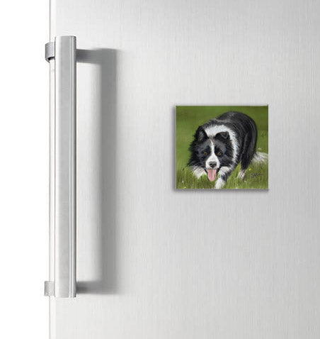 Working Collie Square Magnet