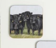 Aberdeen Angus Coaster