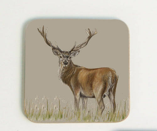 New Deer Coaster