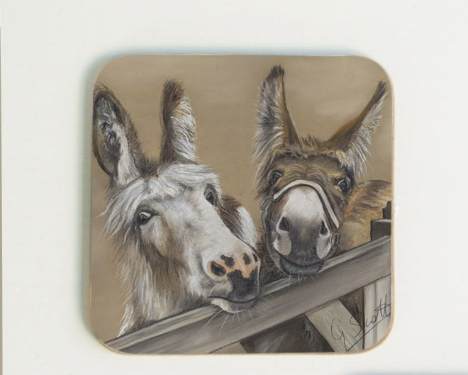 New Donkeys Coaster