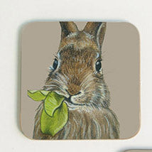 Rabbit Coaster
