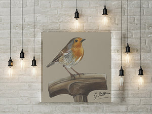 Robin On Spade Garden Bird Limited Edition Canvas Print