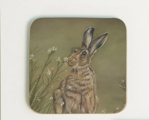 Hare scratching Coaster