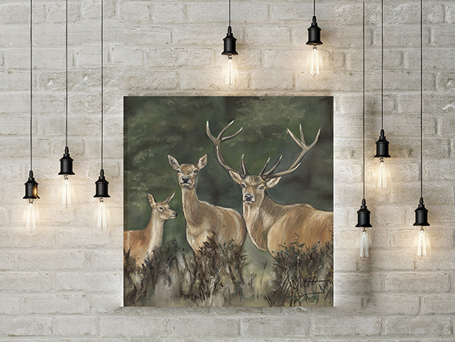 Deer Limited Edition Canvas Print