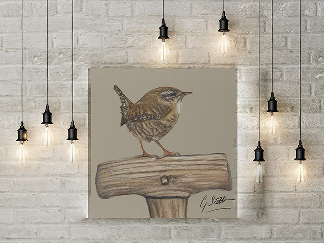 Wren On Spade Garden Bird Limited Edition Canvas Print